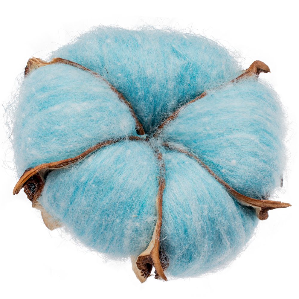 Цветок хлопка Cotton, голубой Цветок хлопка Cotton, голубой