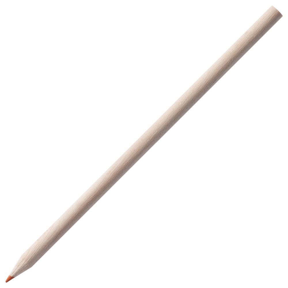 Набор цветных карандашей Pencilvania Maxi Набор цветных карандашей Pencilvania Maxi