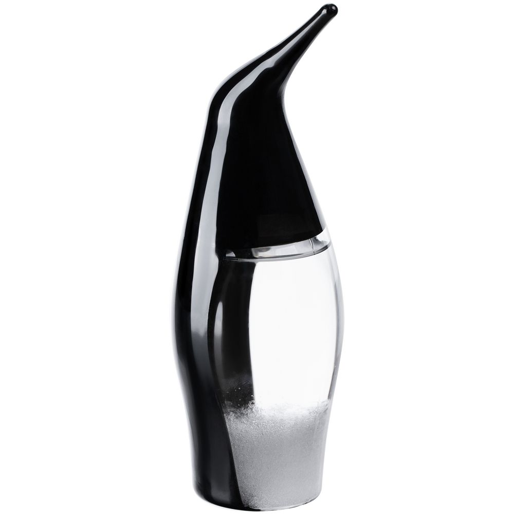 Штормгласс Penguin, черный Штормгласс Penguin, черный