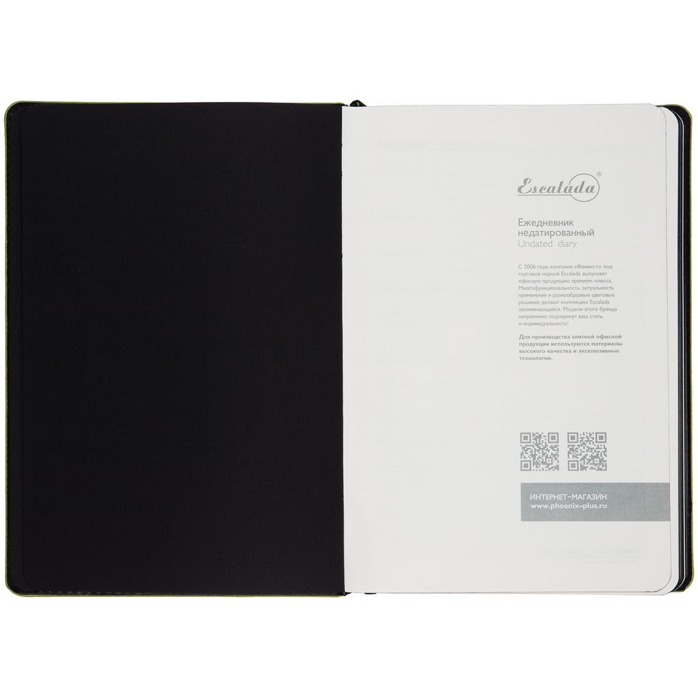 Ежедневник Alanis, недатированный, черный с зеленым