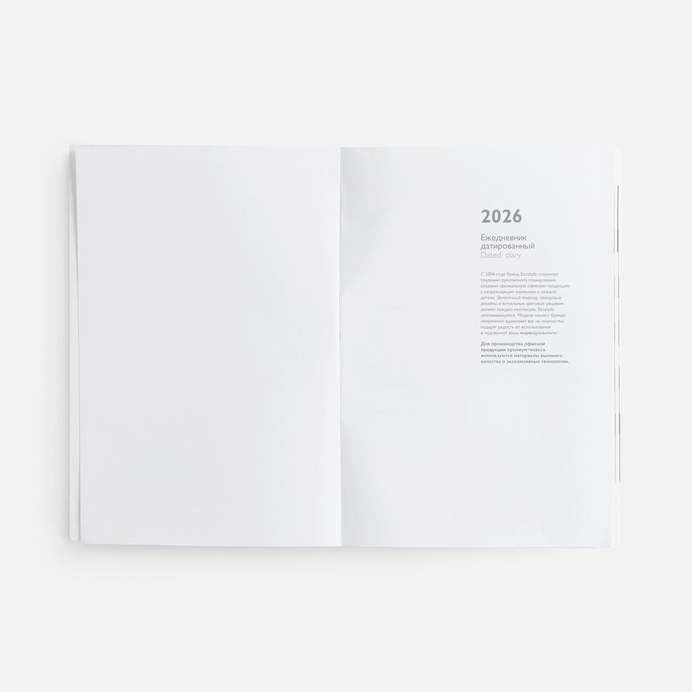 Ежедневник Baza, датированный, зеленый