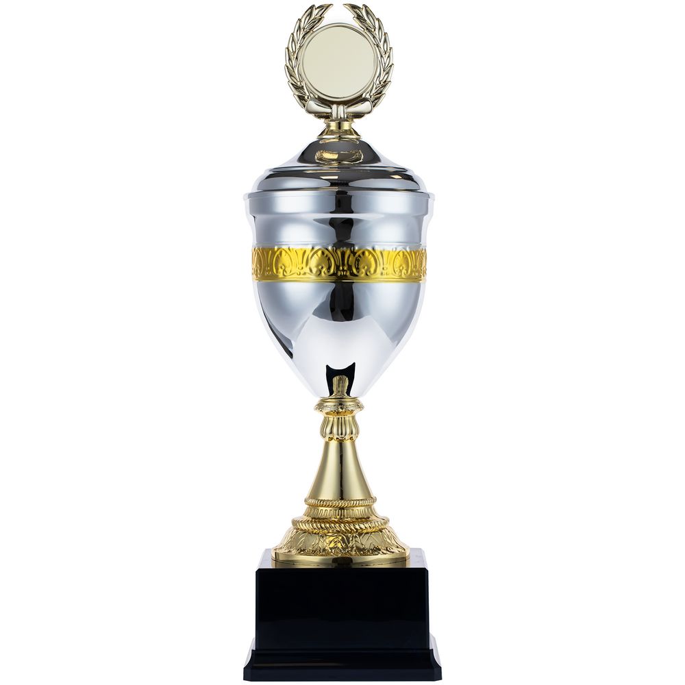 Кубок EnterPrize, серебристый Кубок EnterPrize, серебристый