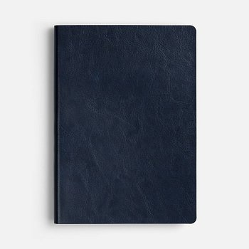 Ежедневник Doppio, недатированный, синий с голубым