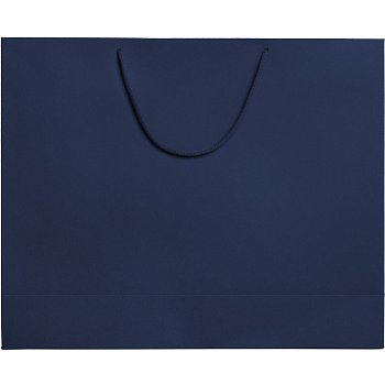 Пакет бумажный Ample Plus L, синий