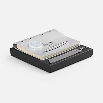 Набор Ringo, серебристый