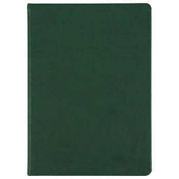 Ежедневник Basis, датированный, зеленый