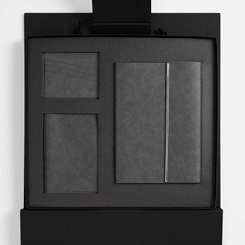 Набор Petrus Flap, серый